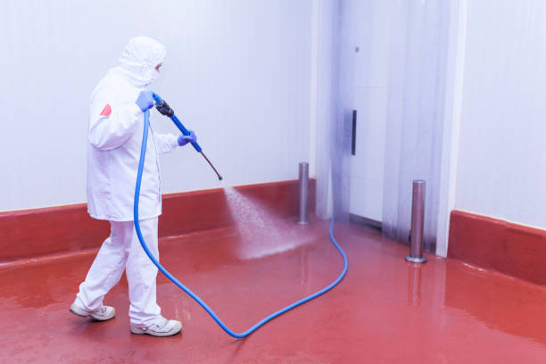 Best Post-Construction Pressure Washing  in Waynesboro, VA