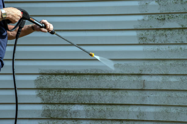 Best Roof Washing  in Waynesboro, VA