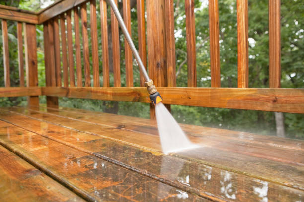 Best Patio and Deck Pressure Washing  in Waynesboro, VA