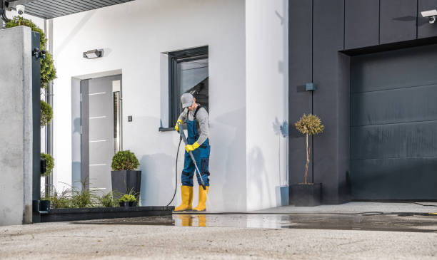 Best Animal Enclosure Cleaning  in Waynesboro, VA